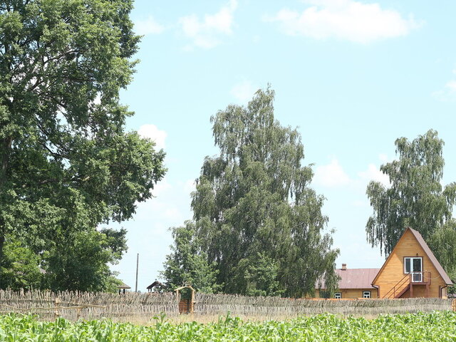 Купалинка photo 3