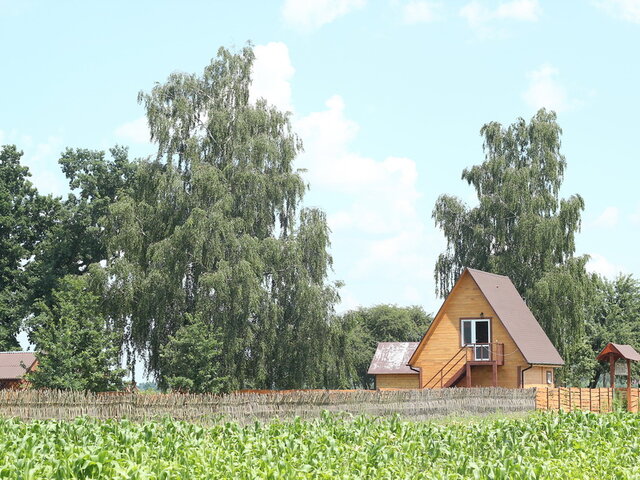 Купалинка photo 4