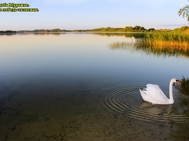 Муражье main photo