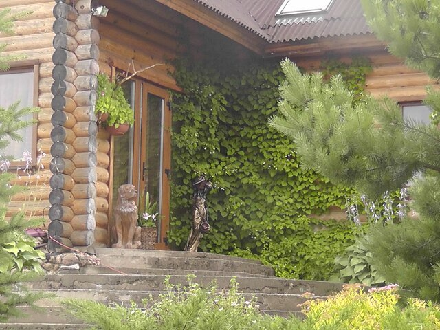 У Ильича photo 1