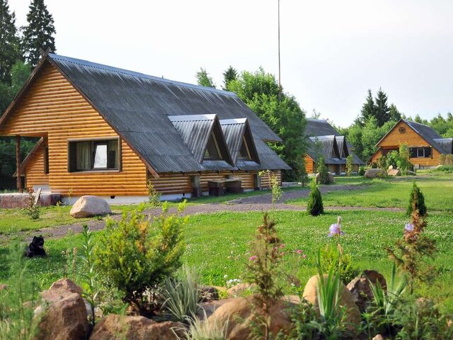 Лесной двор photo 4