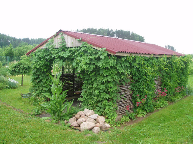 Вязынка