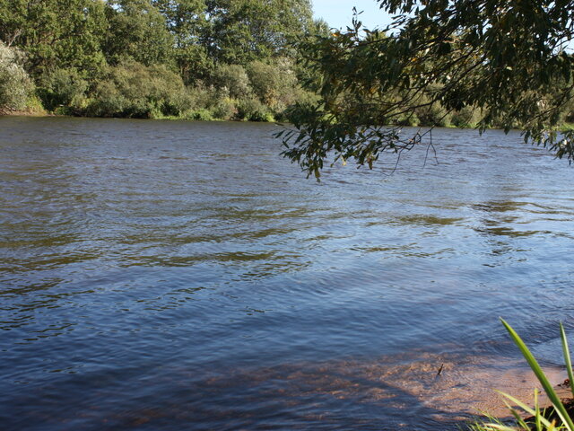 Березинская photo 5