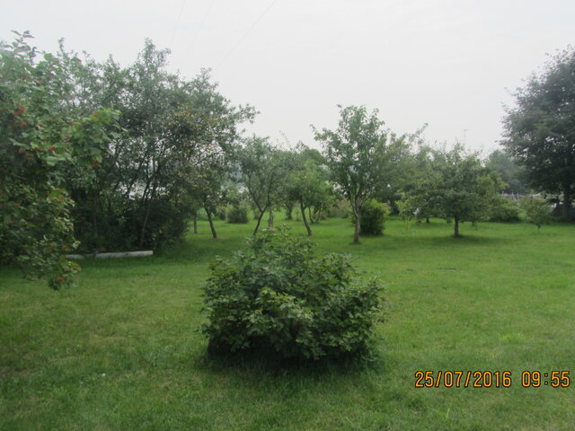 Морозко photo 4