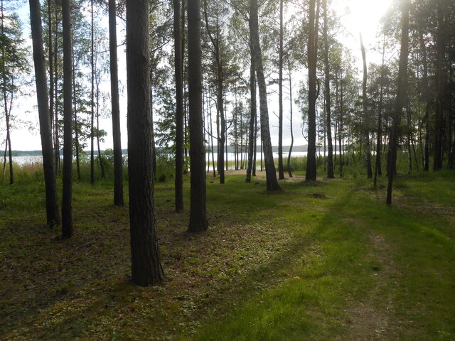 Викинг photo 5