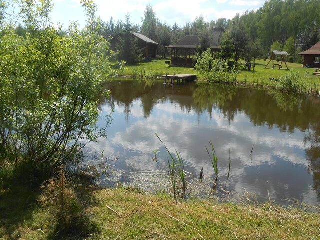 Викинг