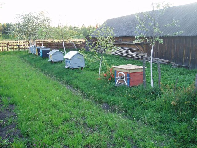 Черешля photo 1
