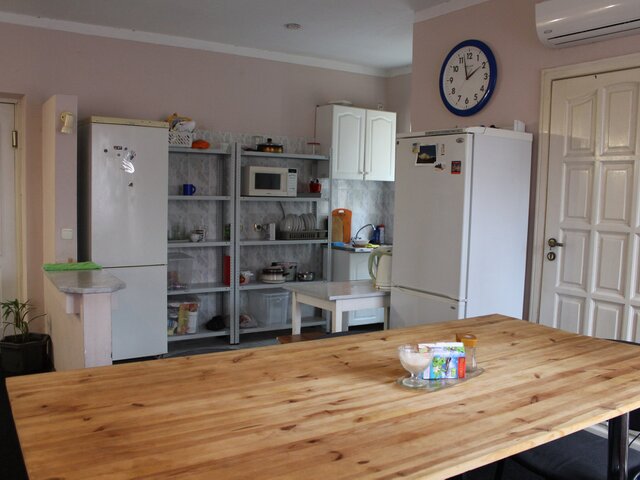 Акация photo 5