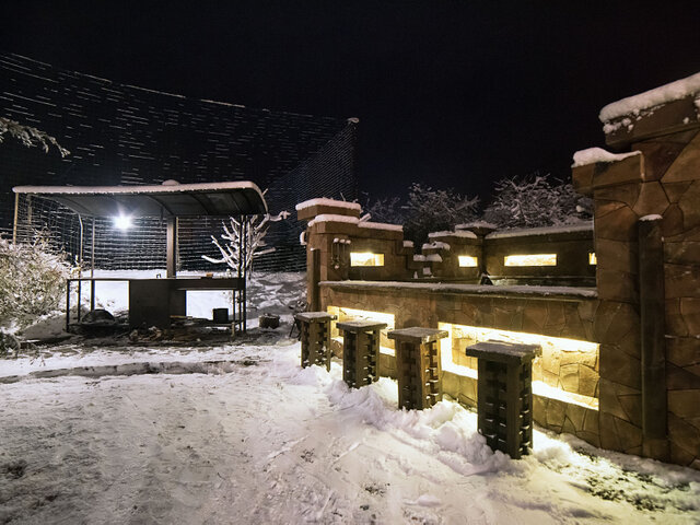 Рыжий кот photo 5