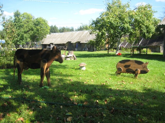 Рani Galagowska photo 2