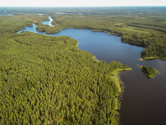Бобровая хата photo 5