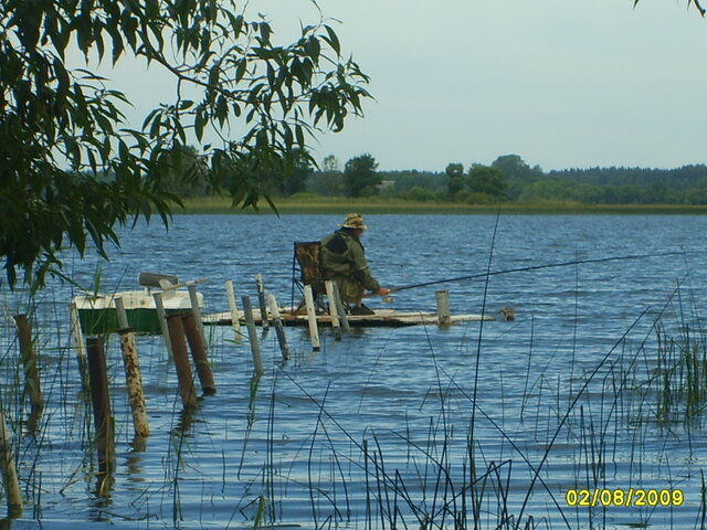 Добромысль photo 5