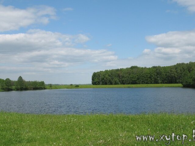 Бусловка photo 5