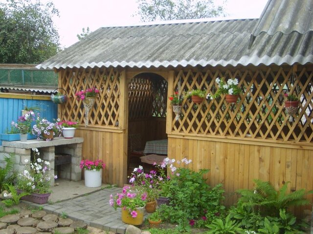 Лилия photo 5