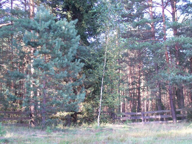 Сам себе хозяин photo 4