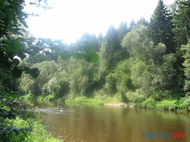 У Петровича photo 5
