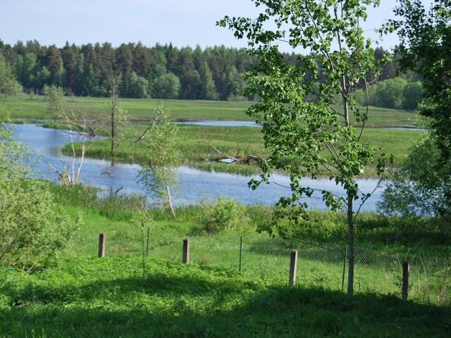 Костыкин двор photo 4