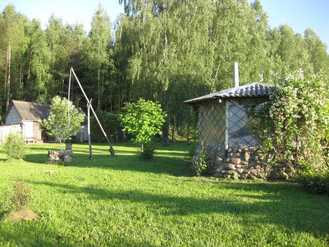Благодать photo 5