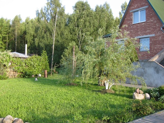 Благодать photo 4