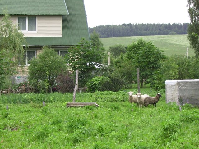 Благодать photo 3