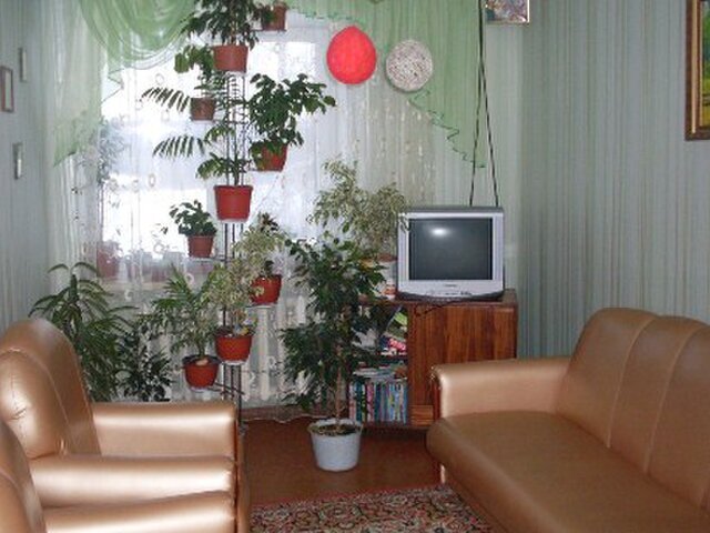 Лесная поляна photo 5