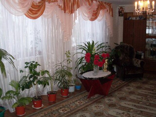 Лесная поляна photo 4