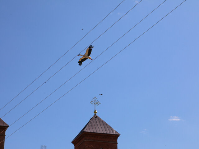 Костел Вознесения Девы Марии в Прозороках photo 0
