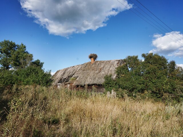 Полесская деревня Кудричи под Пинском photo 2