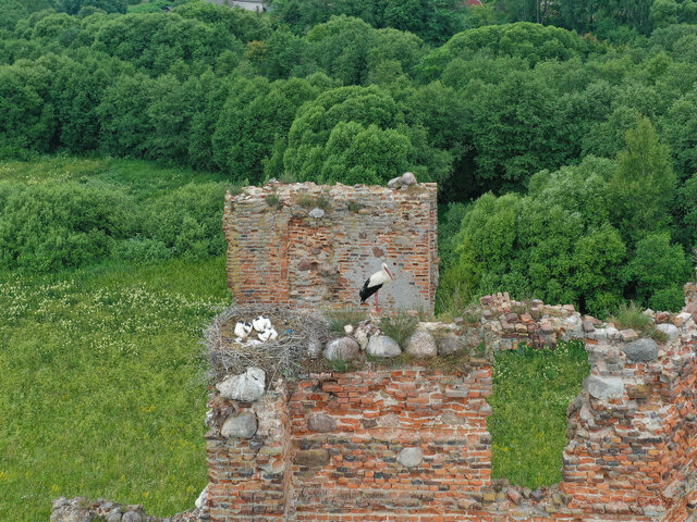 Замок Сангушек «Белый Ковель» в Смольянах photo 3