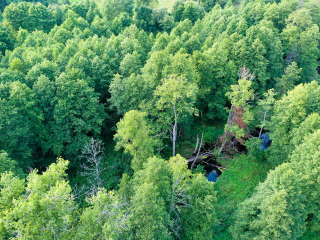 Усадебный дом Сегеней (Сеглицей) в Красках photo 2