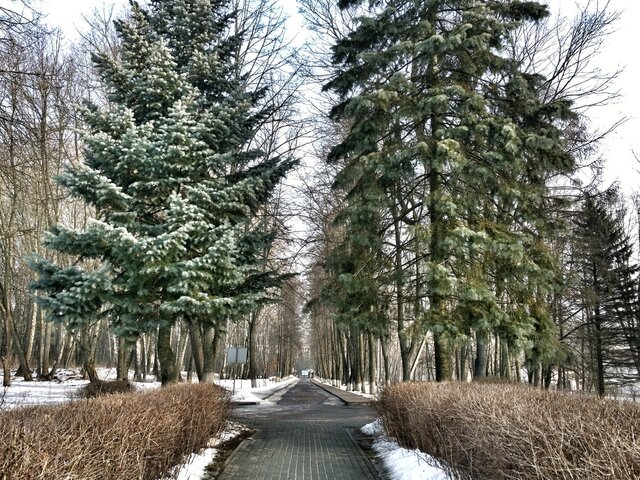 Усадьба Чапских в Прилуках photo 3